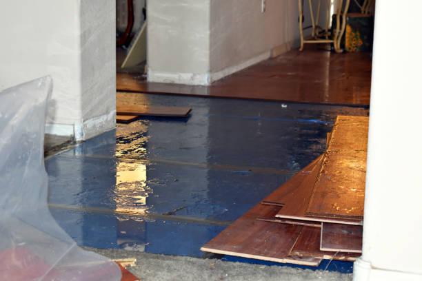 Professional Basement Flood Cleanup technician working in Arkdale, WI